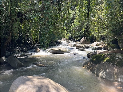 BEST FARM IN SAN ISIDRO DEL GENERAL-RIVER FRONT