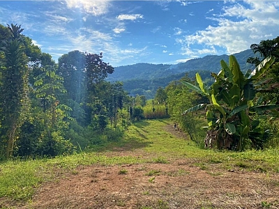 MOUNTAIN VIEW LOT IN QUEBRADAS, PEREZ ZELEDON, OPPORTUNITY!