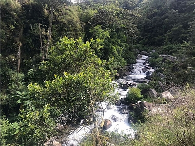 PROPERTY IN A PEACEFUL AREA OF ​​RIVAS, PÉREZ ZELEDÓN, COSTA RICA