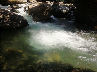 CLEANEST RIVER IN COSTA RICA, AWARDED WITH THE BLUE FLAG FIVE STARS