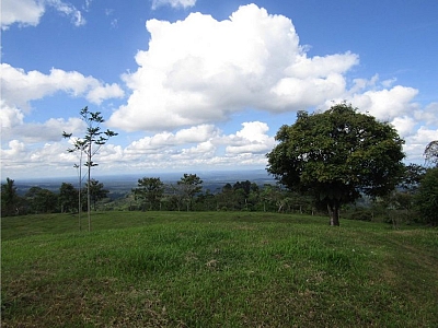 FINCA EN MORAVIA DE SIQUIRRES, LIMÓN