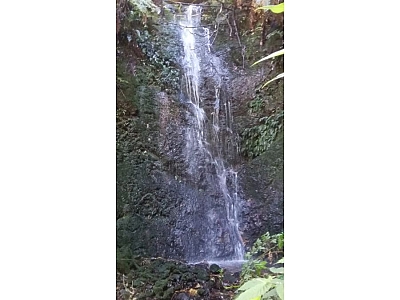 A MOUNTAIN PARADISE IN RIVAS, SAN ISIDRO DEL GENERAL-COSTA RICA