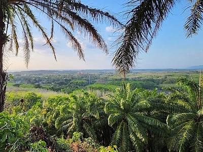 Prime 5 Rai Land Plot with Sea View for Sale in Mai Khao