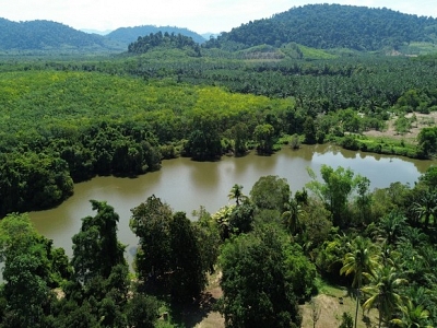 16.5 of land with profitable well water lake for sale in Takuapa, Phangnga