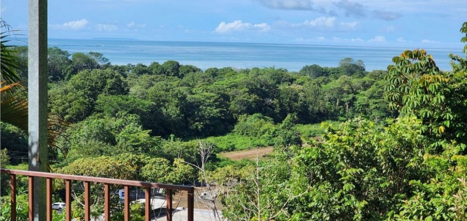 ESPECTACULAR FINCA CON VISTA AL MAR, 8 PLANTELES- COMERCIAL