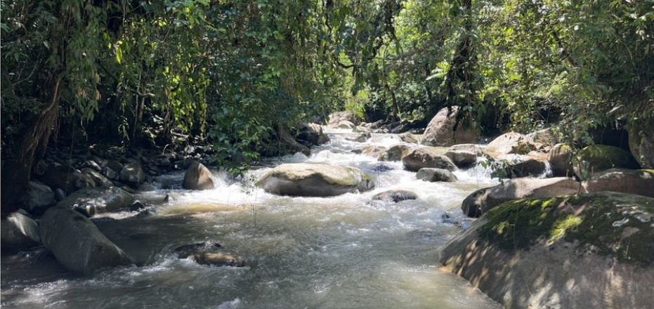 BEST FARM IN SAN ISIDRO DEL GENERAL-RIVER FRONT