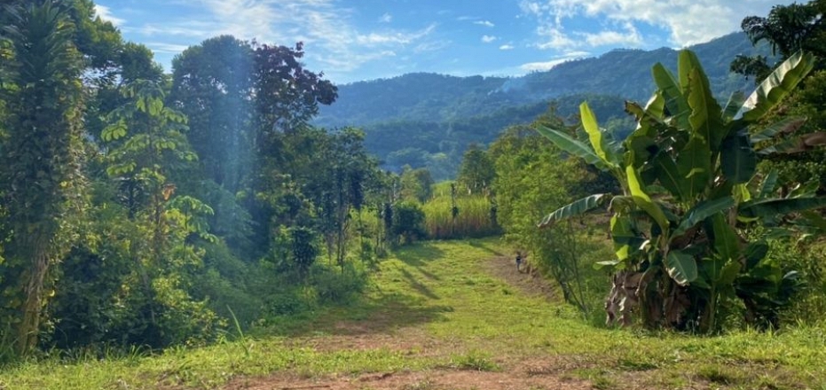 MOUNTAIN VIEW LOT IN QUEBRADAS, PEREZ ZELEDON, OPPORTUNITY!