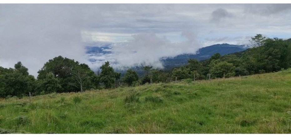 TERRENO EN POÁS DE ALAJUELA