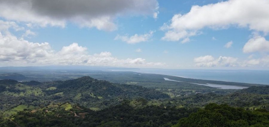 FINCA THE PANTHER_OCEAN AND SIERPE RIVER VIEW