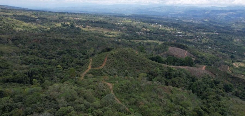 200 DEGREES MOUNTAIN VIEW COFFEE AND POULTRY PRODUCTION FARM