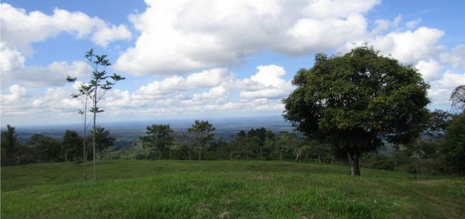 FINCA EN MORAVIA DE SIQUIRRES, LIMÓN