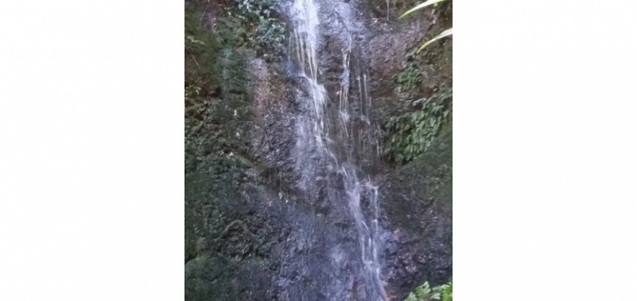 A MOUNTAIN PARADISE IN RIVAS, SAN ISIDRO DEL GENERAL-COSTA RICA