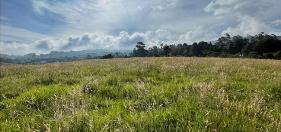 ESPECTACULAR LOTE PLANO Y ESQUINERO EN EL ALTO DE PALMAS