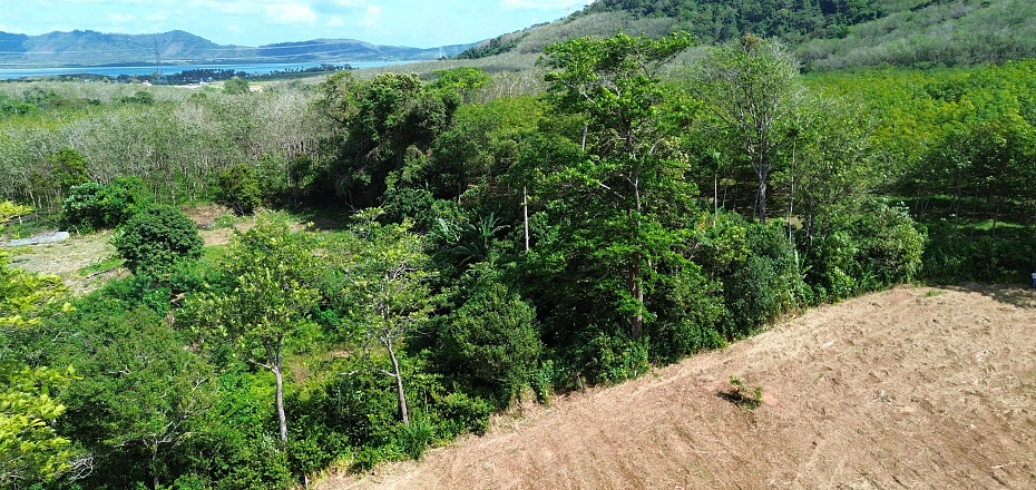 7 Rai with Mountain and Slightly Sea Views Land for Sale in Mai Khao, Phuket