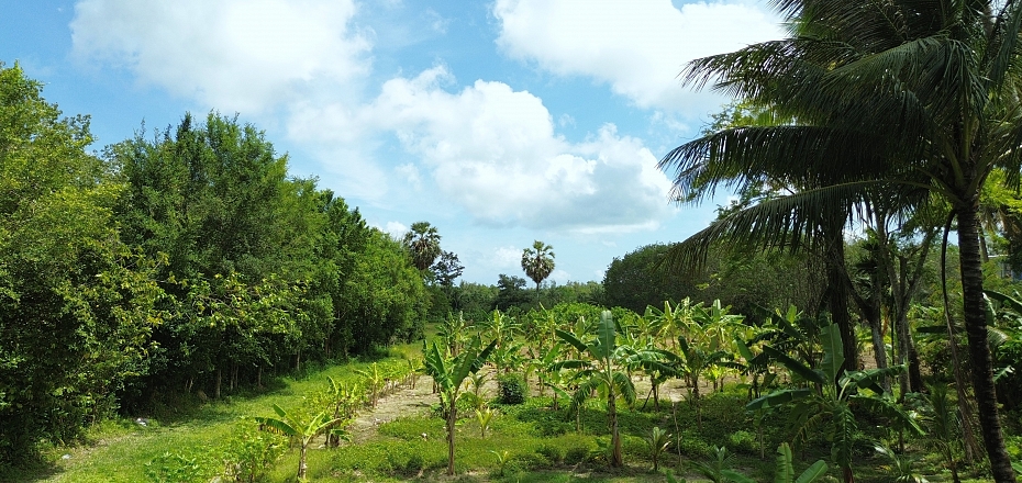 5 Rai Land with Mountain View for Sale in Pa Khlok, Phuket