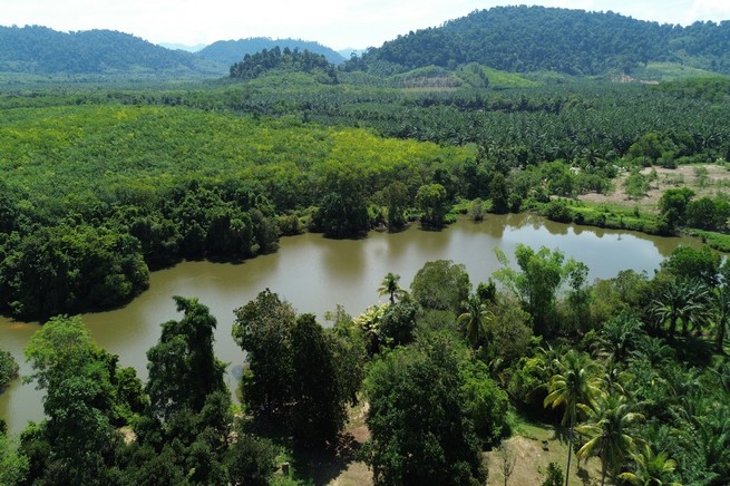 16.5 of land with profitable well water lake for sale in Takuapa, Phangnga